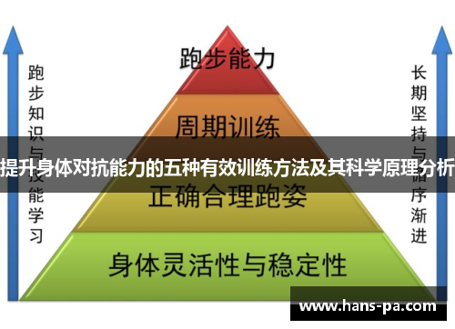 提升身体对抗能力的五种有效训练方法及其科学原理分析 提升身体对抗能力的五种有效训练方法及其科学原理分析