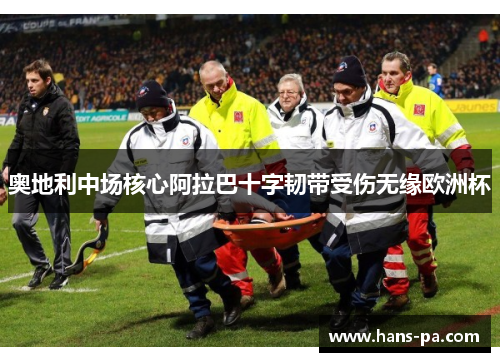 奥地利中场核心阿拉巴十字韧带受伤无缘欧洲杯