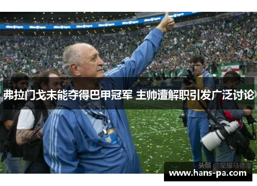 弗拉门戈未能夺得巴甲冠军 主帅遭解职引发广泛讨论